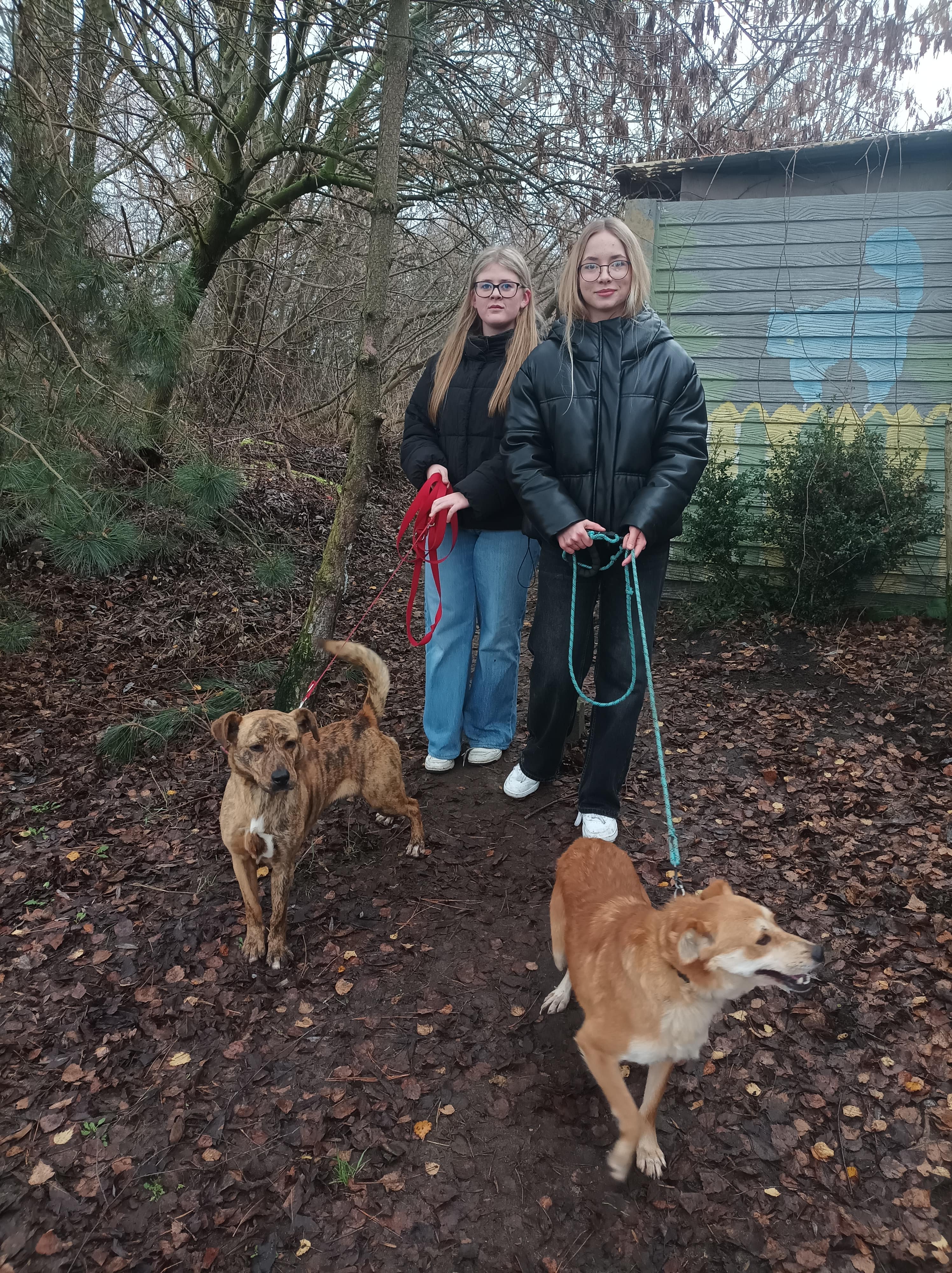 IMG 20251216 103203 min